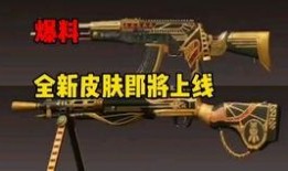 沙漠守护者爆料视频,震撼视频揭露生态危机与守护行动