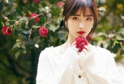 沈月圈内cp爆料最新,神秘男友身份引热议，圈内CP爆料揭秘