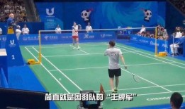 羽毛球事件爆料最新消息,真相逐步浮出水面
