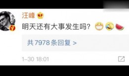 娱乐吃瓜区nga,揭秘娱乐圈幕后故事，带你领略明星们的真实生活
