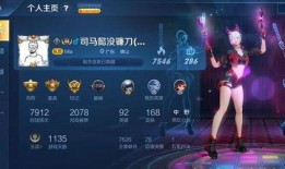 王者退游爆料博主视频,博主视频深度剖析