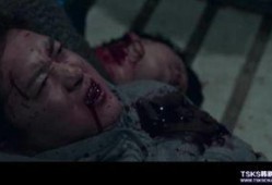 韩国蚯蚓全集在线观看,探寻地下生命的奥秘之旅