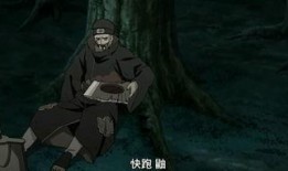 晓鼬技能爆料视频大全集,揭秘爆料视频大全集亮点