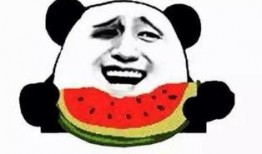 免费吃瓜群众网站,带你领略网络世界的趣味与真相