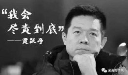 乐视老贾最新爆料,乐视老贾最新爆料，行业变革背后的真相曝光！