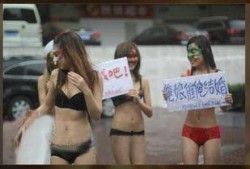 今日一线视频爆料,视频爆料背后的惊人真相