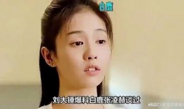刘大锤最新爆料白鹿视频