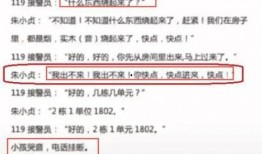 盐城案件爆料最新进展情况,疑云重重，真相渐明