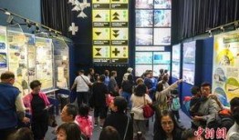香港天文台爆料新闻,揭秘极端天气背后的科学真相