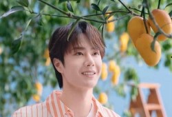 圈内爆料许凯王一博,揭秘娱乐圈的神秘邂逅与精彩互动