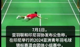 羽毛球事件爆料最新消息,真相逐步浮出水面