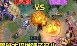 王者爆料小君君视频,小君君视频中的精彩瞬间与幕后故事