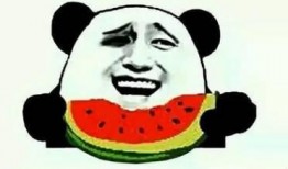 吃瓜微信免费吃最新,如何轻松免费享受吃瓜微信最新福利！”