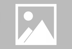 荒野乱斗第五赛爆料视频,全新角色与玩法大揭秘