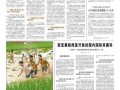 广西新闻暗访报爆料,揭露背后惊人真相