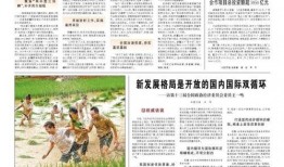 广西新闻暗访报爆料,揭露背后惊人真相