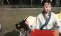 变鬼2高清在线观看,惊悚升级，恐怖盛宴再启幕！